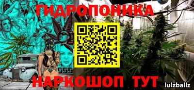 шишки Рязань